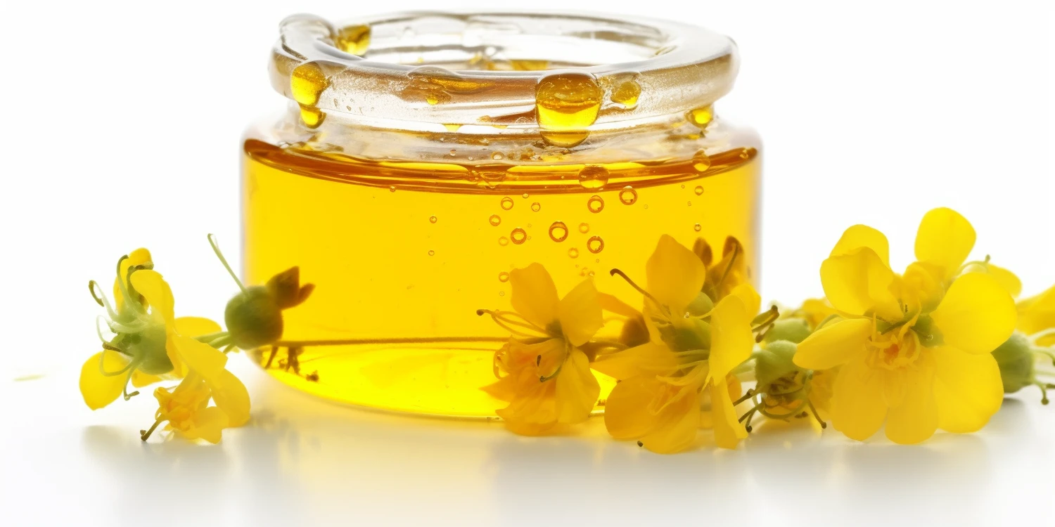 Gdzie można kupić matki pszczele reprodukcyjne?